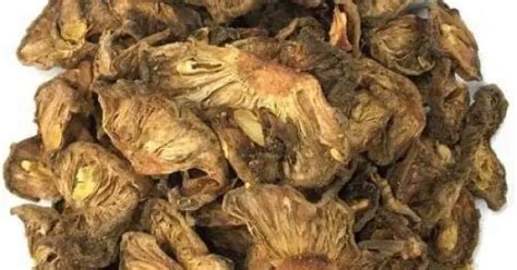 Kokum Phool 250gms Dried Mangosteen Slices Garcinia Indica