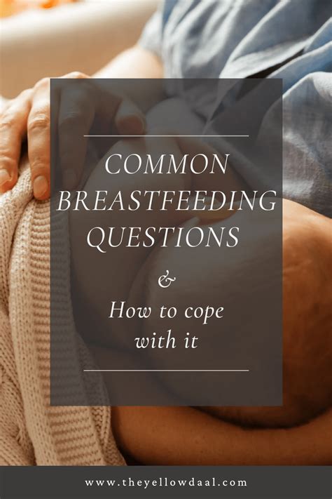 Common Breastfeeding Questions And How To Cope With It Theyellowdaal