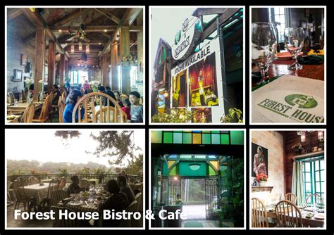 Baguio City Forest House Bistro And Cafe Shie Went To Town