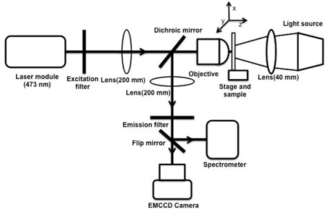 Figure S8 Schematic Diagram Of The Fluorescence Download Scientific Diagram