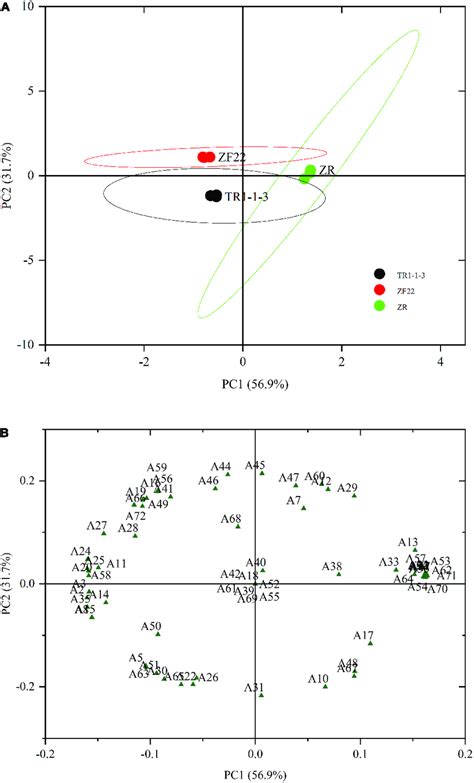 Principal Component Analysis Pca Plots Of Volatile Compounds In Download Scientific Diagram