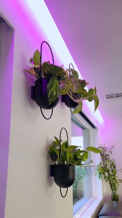 Chilistran Hanging Plant Pot Youtube