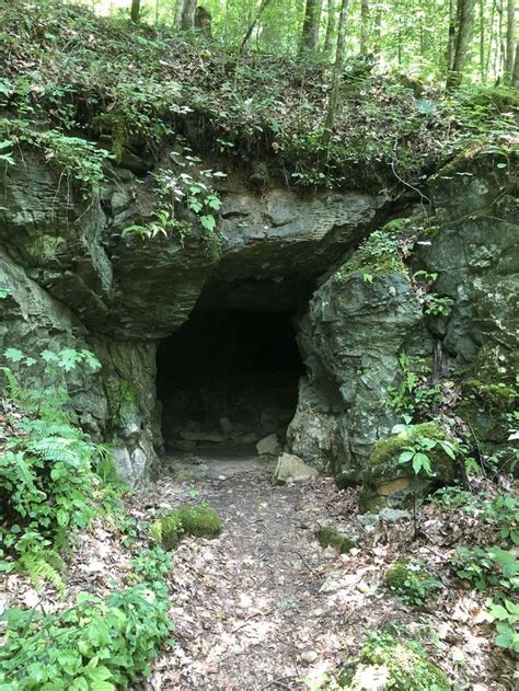 A Small Cave In The Middle Of A Forest