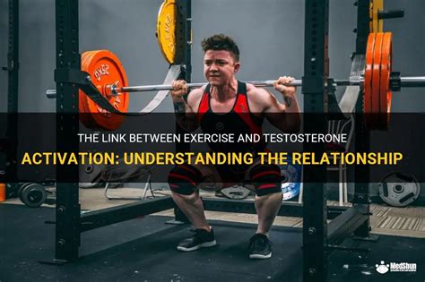 The Link Between Exercise And Testosterone Activation Understanding The Relationship Medshun