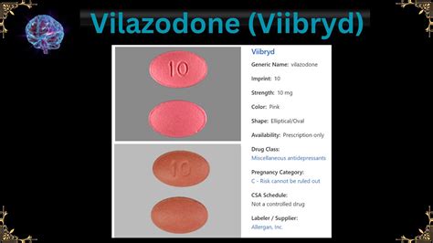 Vilazodone Viibryd Youtube