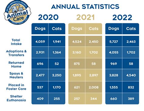 greenville county inmate search greenville sc 6