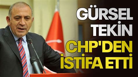 G Rsel Tekin Chp Den Istifa Etti Kocaeli Bar Gazetesi