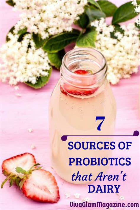 7 Sources Of Probiotics That Aren T Dairy In 2023 Sources Of Probiotics Dairy Free Probiotics