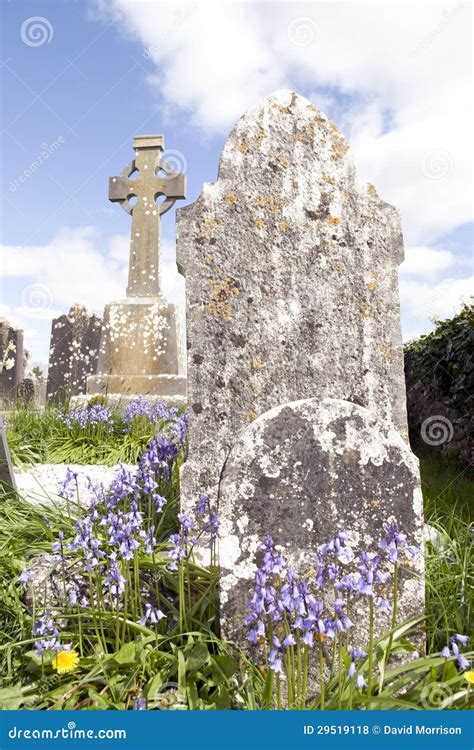 Old Ancient Irish Celtic Graveyard With Bluebells Stock Photo Image