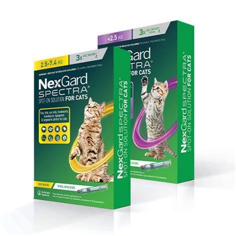 Nexgard Spectra Cat 3 Pack - Vets North - | Exceptional Veterinary Care