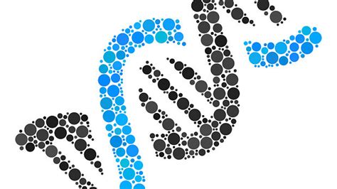 Genetic Information for Patients with Mosaic Disorders | Dermcast.live