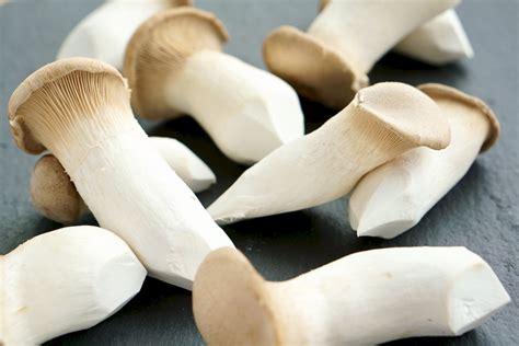 Nutritional Value Of King Oyster Mushrooms Besto Blog