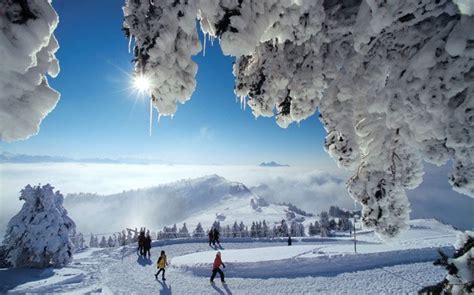 Rigi Panoramaweg Oberhalb Des Vierwaldst Ttersees Winterwanderung Auf