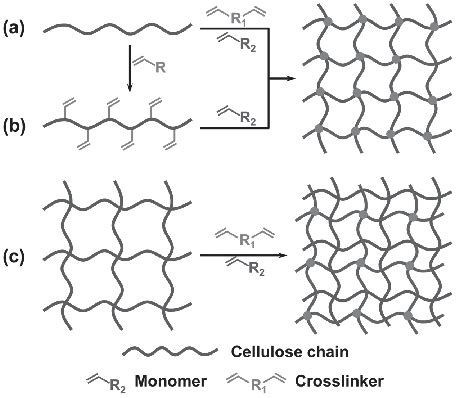 The Preparation Of Cellulose Based Gels Via Free Radical Polymerization