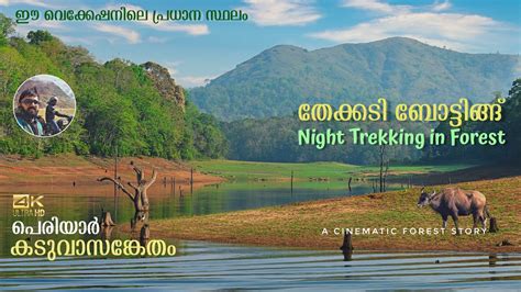 Thekkady Boating Night Trekking In Periyar Tiger Reserve Jungle