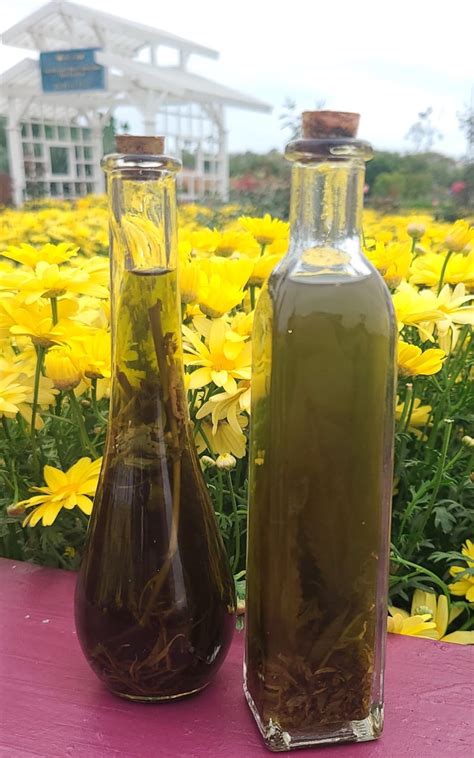 Cannabis Tincture Alcohol Tincturehemp Tinctures Organic Etsy