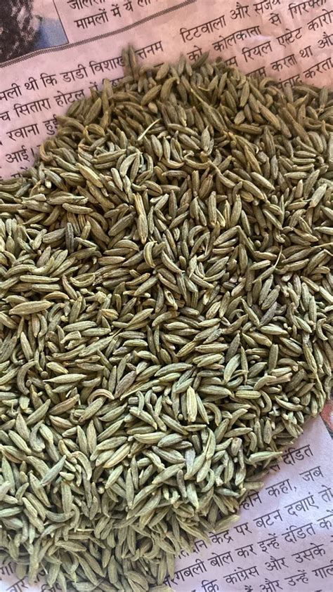 Brown Fennel Seed Packaging Type Loose At Rs Kg In Kanpur