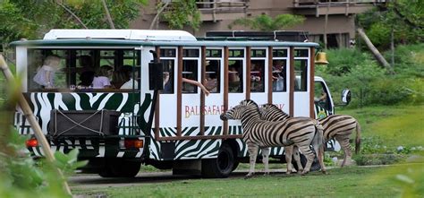 Taman Safari Bogor One Day Tour Packages Private Tour Yoexplore