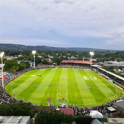 Norwood Oval Rafl