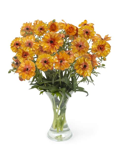 Ranunculus Butterfly™ Monarch Flowers