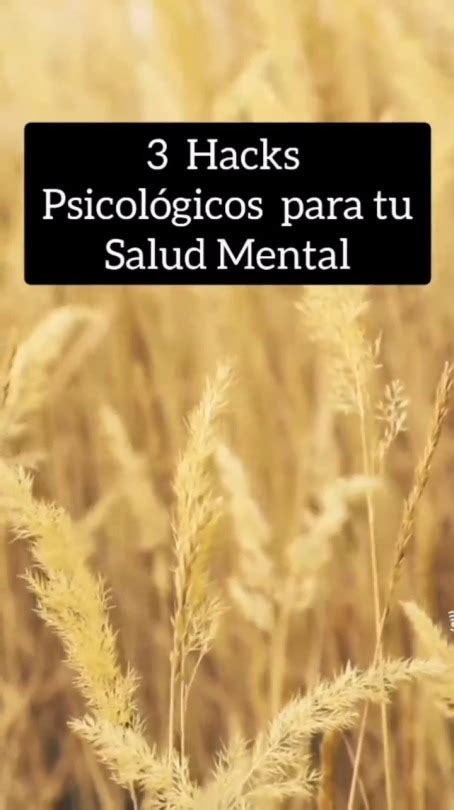 Tengo Mil Palabras Para Ti Mejora Tu Salud Mental Con Sencillos Pasos