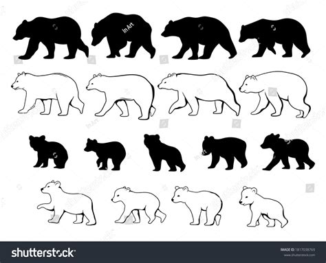 54,968 Cub vector Images, Stock Photos & Vectors | Shutterstock