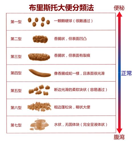 大便形状正常图样健康大山谷图库