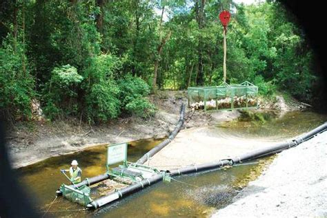 Trash Trap For Flat Creek Aims To Improve Water Quality Gainesville Times