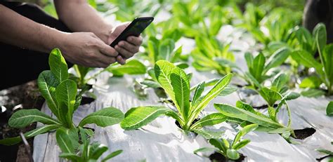 Smart Farming Iot For A Smarter Agriculture Synox