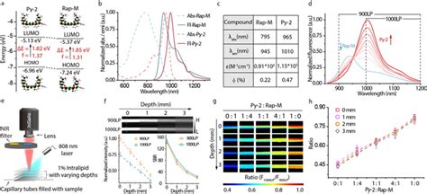 Jacs 第二近红外窗口聚甲炔平台分子用于构建比率型分子荧光探针