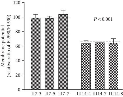 Mitochondrial membrane potential analysis. The mitochondrial membrane ...