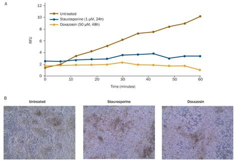 Doxazosin Mesylate Cas 77883 43 3 Randd Systems