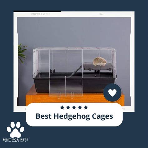 The 10 Best Hedgehog Cages - BestForPets.org