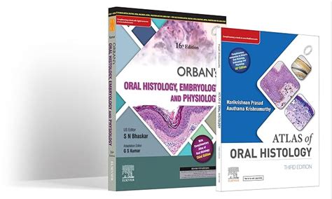 Buy Orban S Oral Histology Embrology Physiology 16e And Atlas Of