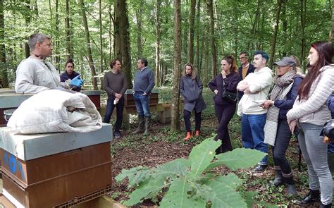 Avec EcoTree les entreprises offrent des arbres à leurs collaborateurs