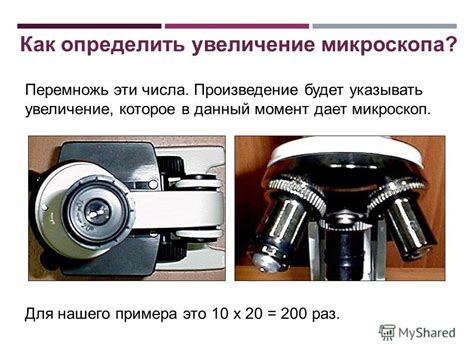 Презентация на тему: "Клетка (8 часов) Урок 5 Тема: История изучения ...