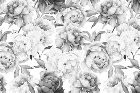 White Peonies Wallpapers - 4k, HD White Peonies Backgrounds on WallpaperBat