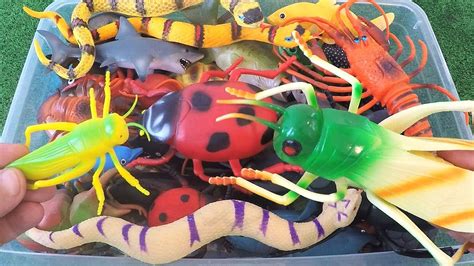 Box Of Toys Bugs For Kids Learn Insects Names And Sounds Learn Sea