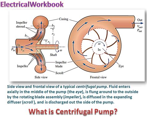 Centrifugal Pump Diagram And Explanation What Is Centrifugal