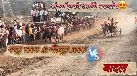 Mathur Win मथुर 1001 And मैहबूब 3006 🆚 बादल And गज्या संपुर्ण शर्यत