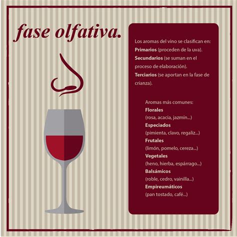 Cata Un Vino Como Un Experto Con Estos Consejos B Sicos