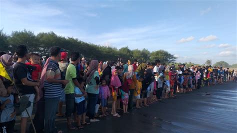 Pelepasan Tukik Di Pantai Kembar Terpadu Kebumen Youtube