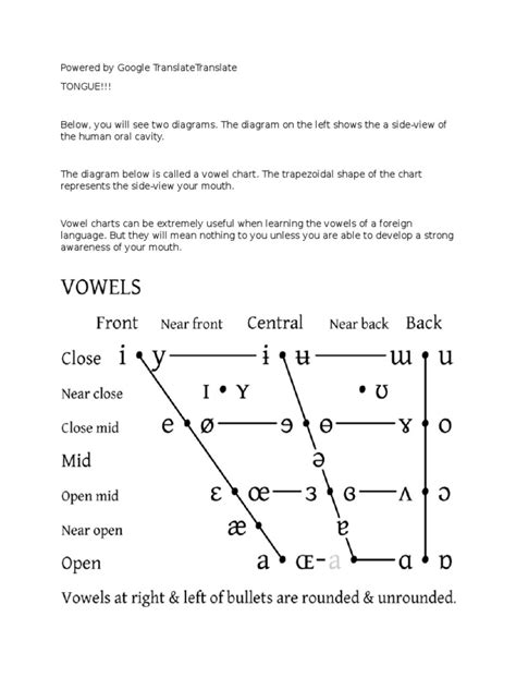 Tongue Height For Vowels Vowel Human Voice