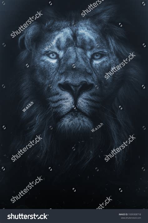 Lion Black Background Whith Blue Eyes Stock Photo 1939308718 | Shutterstock