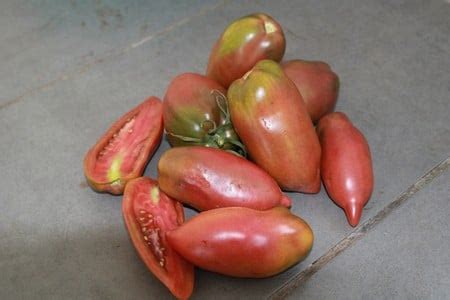 Tomate Cornue Des Andes Noire Bio L Atelier Des Bons Plants