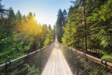 Seaplane Tour With Admission To Capilano Suspension Bridge Park