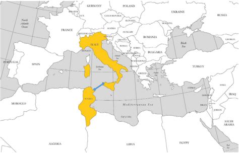 チュニジアとイタリアの相互接続 ヨーロッパとアフリカの間のエネルギーの架け橋 岩口さん「アラブ・北アフリカ法専門研究者・兼コンサルタント」