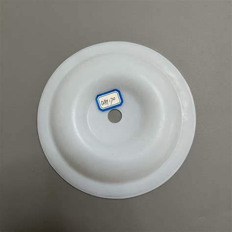 Aodd Pump Ptfe Diaphragm Membrane Used On Qby Diaphragm Pump Spare