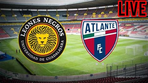 Leones Negros Vs Cf Atlante En Vivo Partido De Futbol Mexico Ascenso Mx