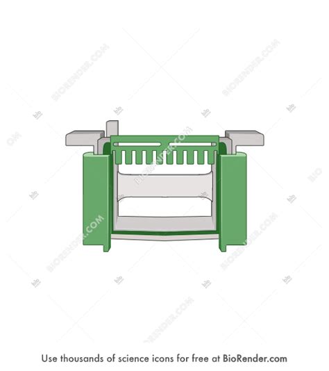 Free Western Blotting Equipment Gel Holder Icons Symbols And Images Biorender